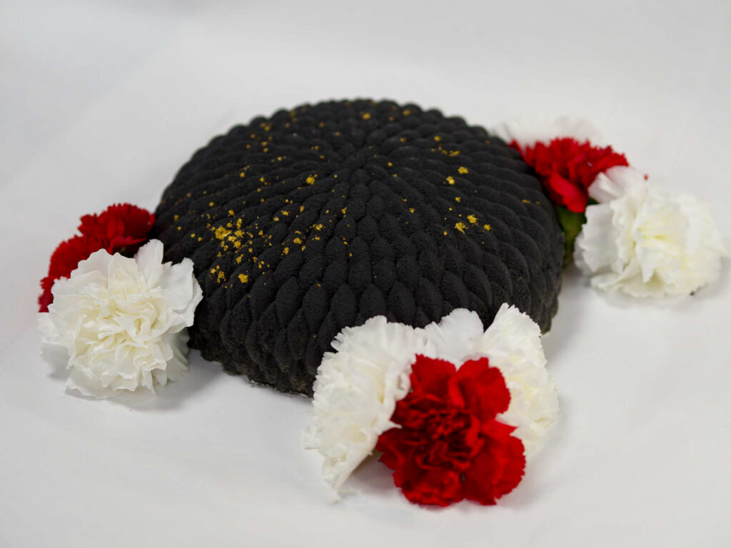 TORT MUSOWY UFO-14 PORCJI - tort bez cukru